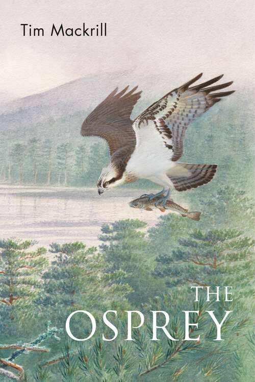 Book cover of The Osprey (Poyser Monographs)