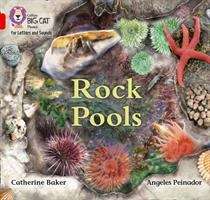 Book cover of Rock Pools: Band 2b Red B (PDF) (Collins Big Cat Phonics For Letters And Sounds Ser.)