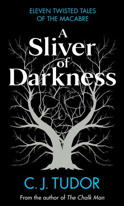 Book cover of A Sliver of Darkness