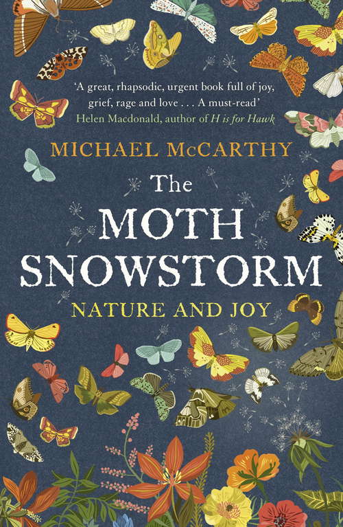 Book cover of The Moth Snowstorm: Nature and Joy