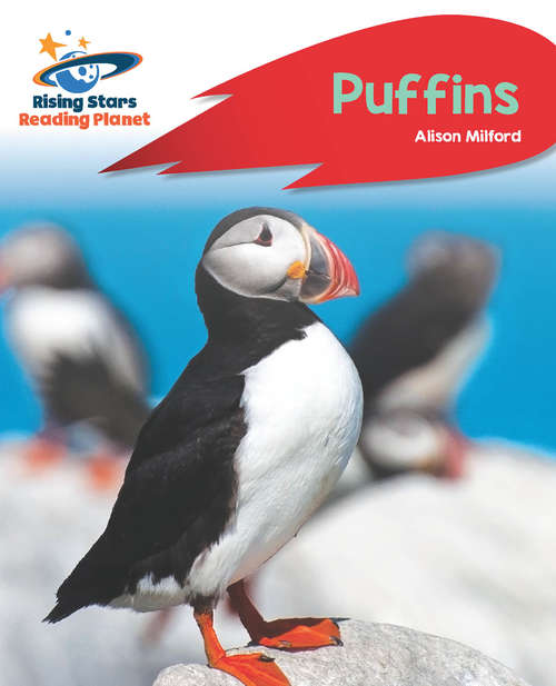 Book cover of Reading Planet - Puffins - Red A: Rocket Phonics (PDF) (Rising Stars Reading Planet (PDF))