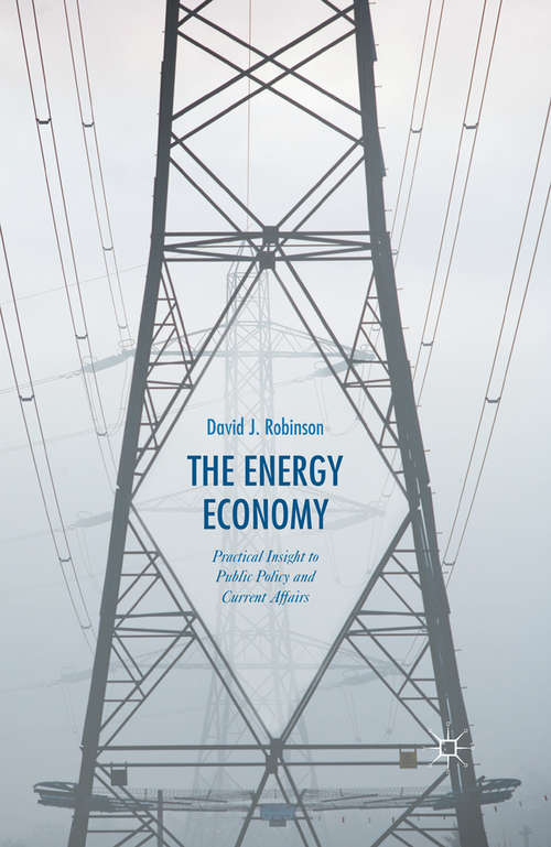 Book cover of The Energy Economy: Practical Insight to Public Policy and Current Affairs (1st ed. 2015)