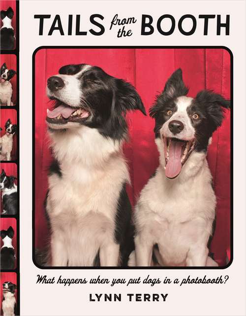 Book cover of Tails from the Booth: Pooches, Pups And Mutts Clown For The Camera