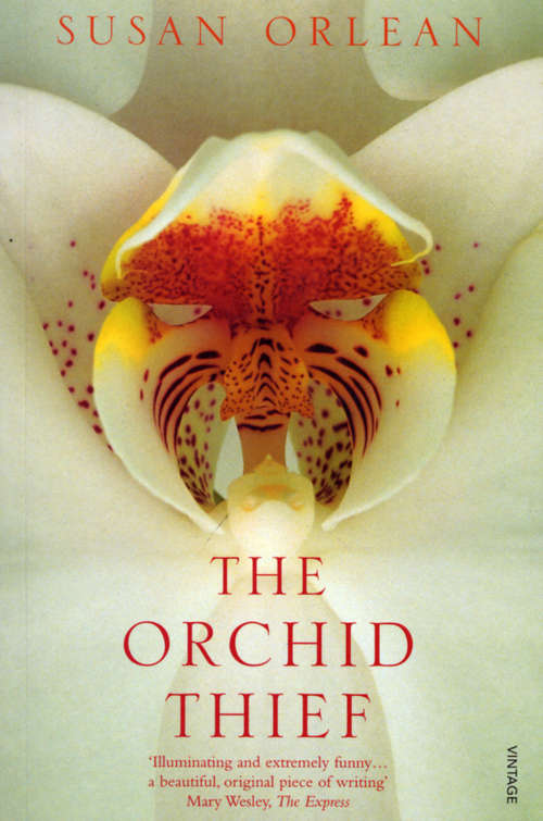 Book cover of The Orchid Thief: A True Story Of Beauty And Obsession