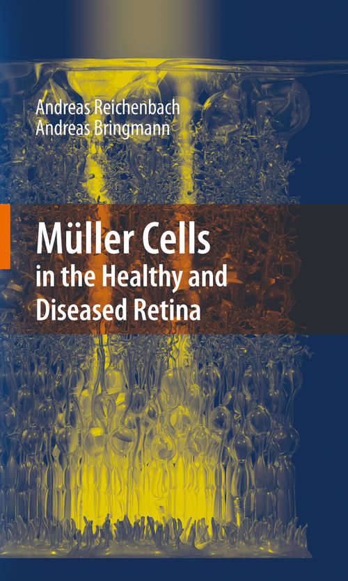 Book cover of Müller Cells in the Healthy and Diseased Retina (2010)