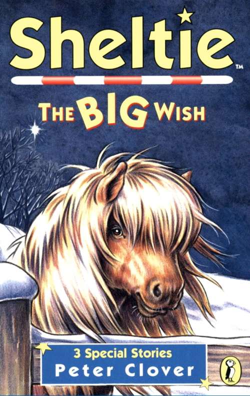 Book cover of Sheltie: The Big Wish