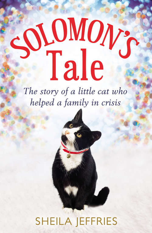 Book cover of Solomon’s Tale: The Story Of A Little Cat Who Helped A Family In Crisis (ePub edition)