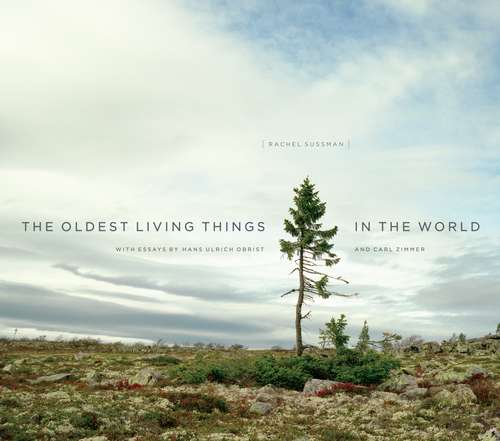 Book cover of The Oldest Living Things in the World
