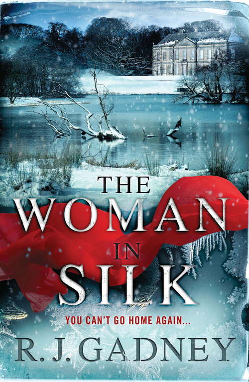 Book cover of The Woman in Silk