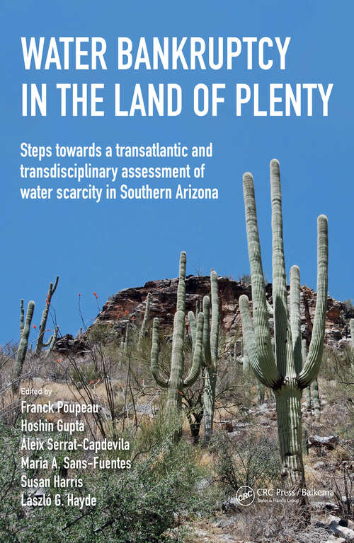 Book cover of Water Bankruptcy in the Land of Plenty (IHE Delft Lecture Note Series)