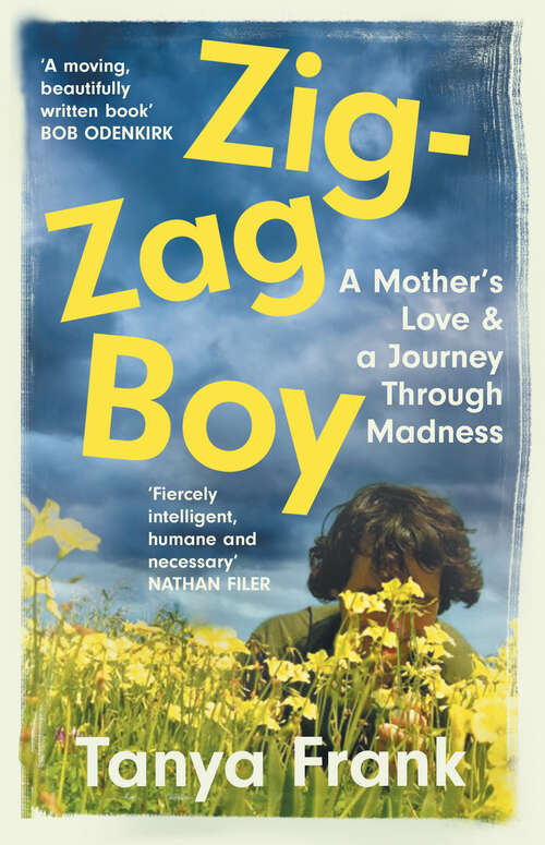 Book cover of Zig-Zag Boy: Madness, Motherhood And Letting Go