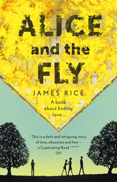 Book cover of Alice and the Fly