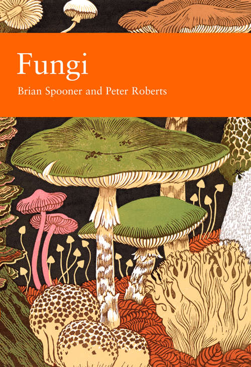 Book cover of Fungi: A Life-size Guide To Six Hundred Species From Around The World (ePub edition) (Collins New Naturalist Library #96)