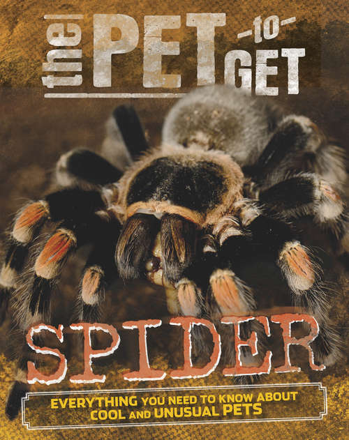 Book cover of Spider: Spider (The Pet to Get #4)
