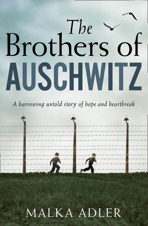 Book cover of The Brothers of Auschwitz