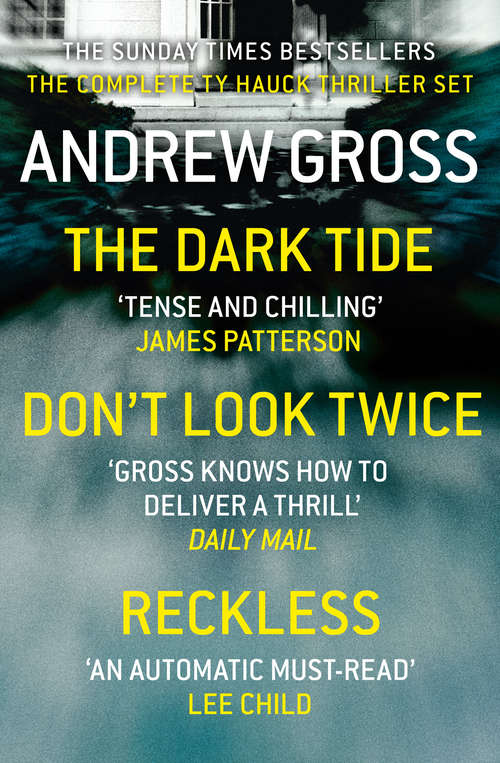 Book cover of Andrew Gross 3-Book Thriller Collection 1: The Dark Tide, Don’t Look Twice, Relentless (ePub edition)