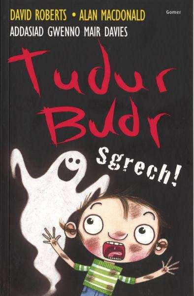 Book cover of Tudur Budr: Sgrech!