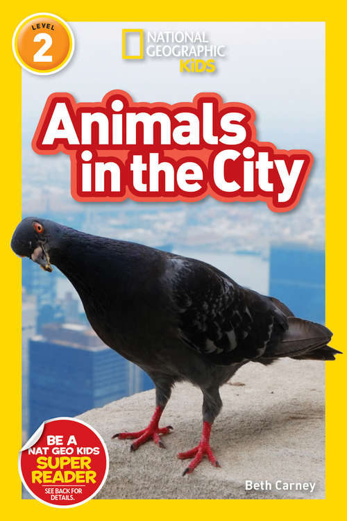 Book cover of Animals in the City (National Geographic Readers)