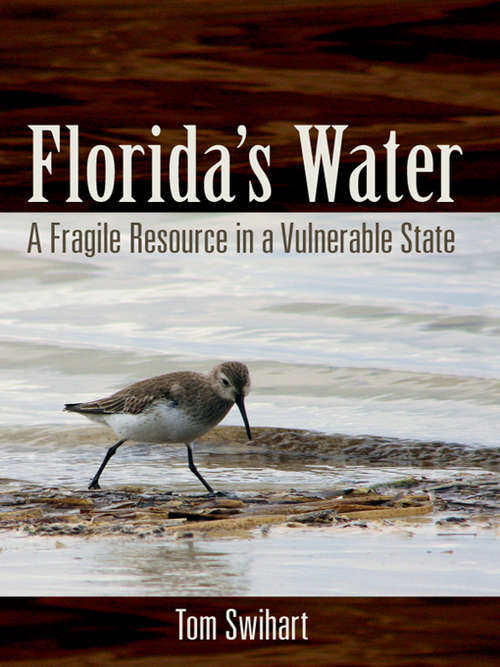 Book cover of Florida's Water: A Fragile Resource in a Vulnerable State
