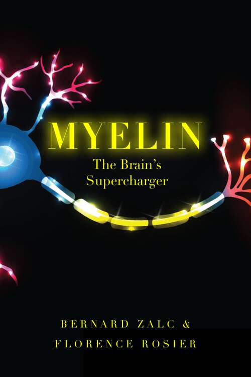 Book cover of Myelin: The Brain's Supercharger