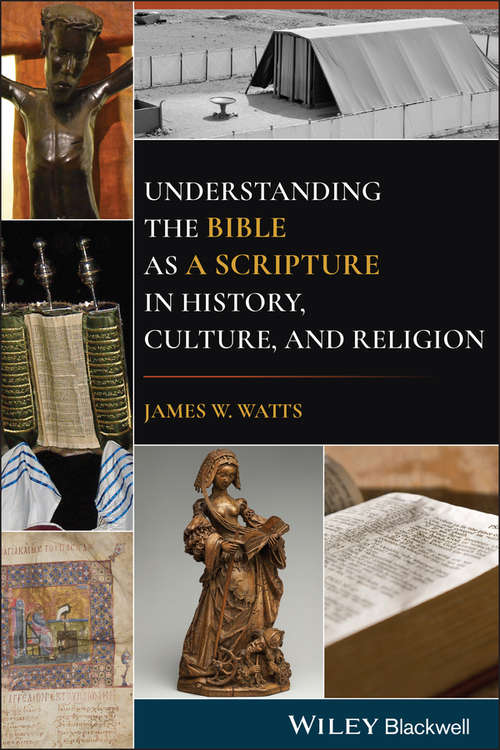 Book cover of Understanding the Bible as a Scripture in History, Culture, and Religion
