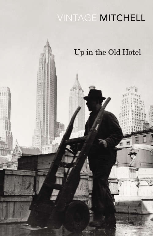 Book cover of Up in the Old Hotel