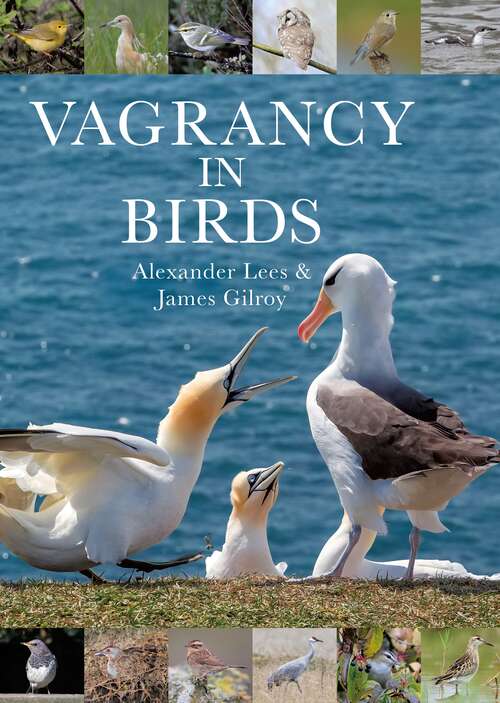 Book cover of Vagrancy in Birds