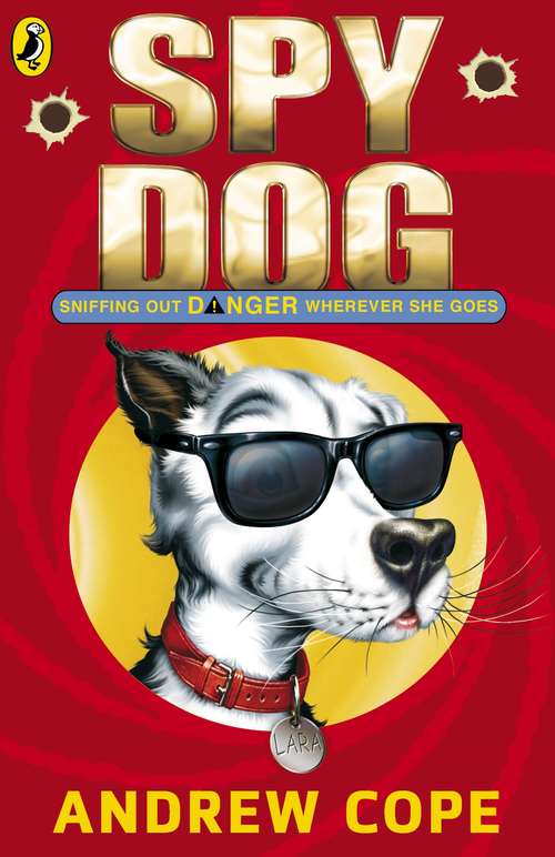 Book cover of Spy Dog: Stormchaser (Spy Dog Ser. #2)