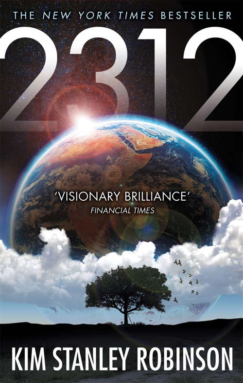 Book cover of 2312