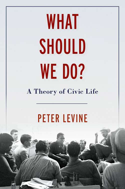Book cover of What Should We Do?: A Theory of Civic Life