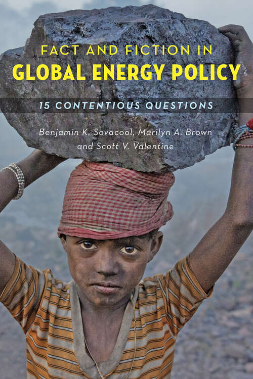 Book cover of Fact and Fiction in Global Energy Policy: Fifteen Contentious Questions