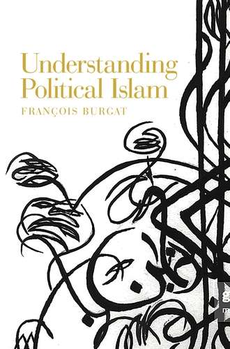 Book cover of Understanding Political Islam