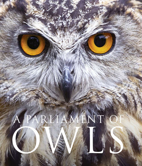 Book cover of A Parliament of Owls (ePub edition)