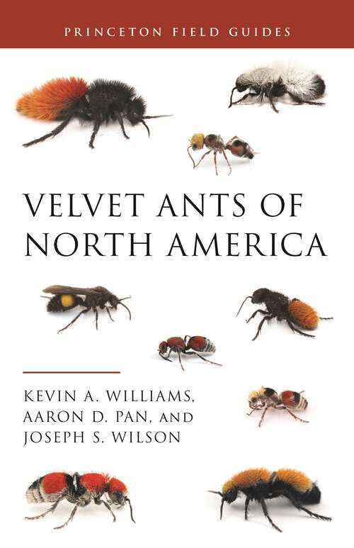 Book cover of Velvet Ants of North America (Princeton Field Guides #145)