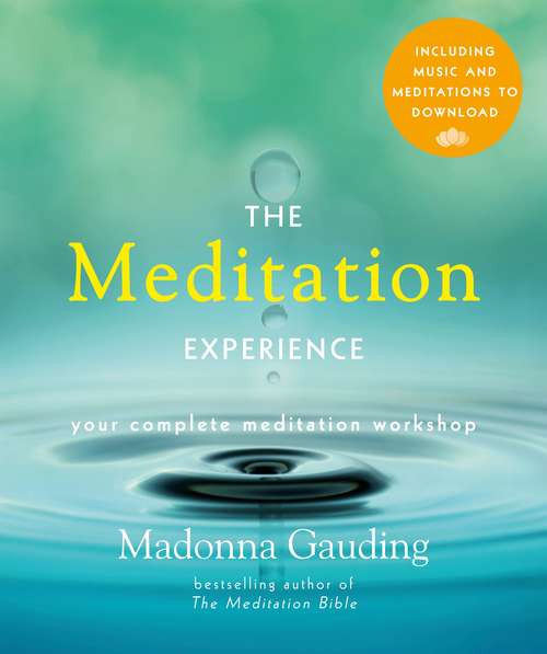 Book cover of The Meditation Experience: Your Complete Meditation Workshop in a Book (Experience Series)