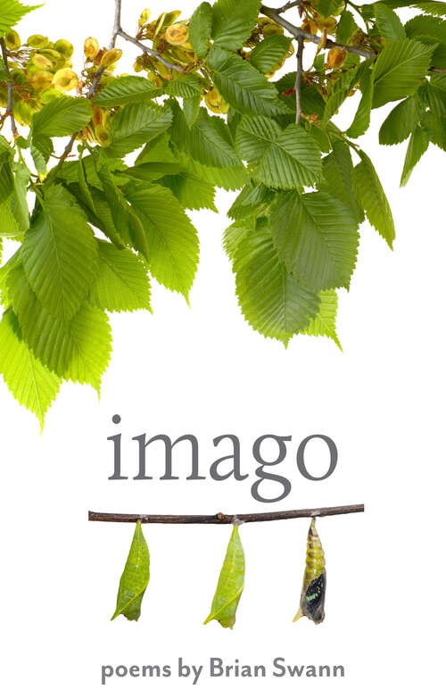 Book cover of Imago (Johns Hopkins: Poetry and Fiction)