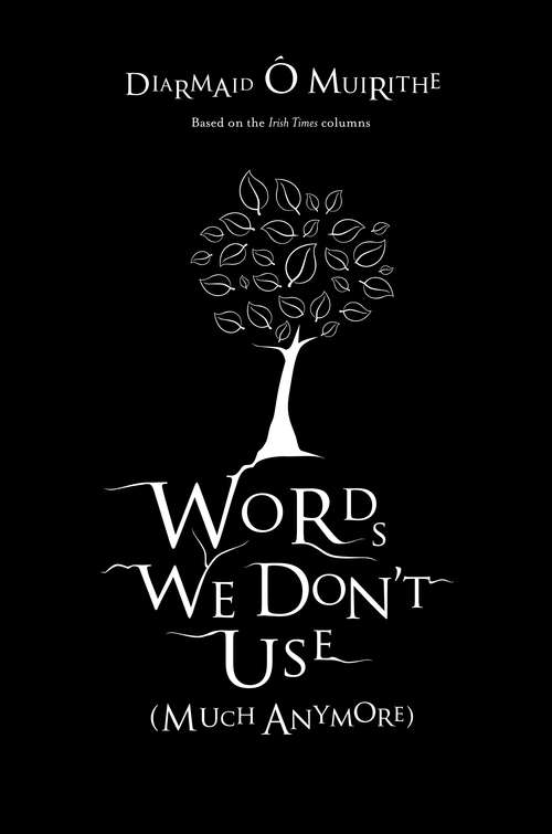 Book cover of Words We Don't Use (Much Anymore): The Meaning of Words And Where They Come From